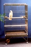 medium cage # 36305